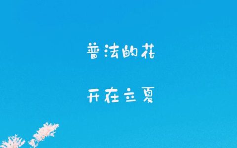 今日说法观后感500字（今日说法观后感300字）