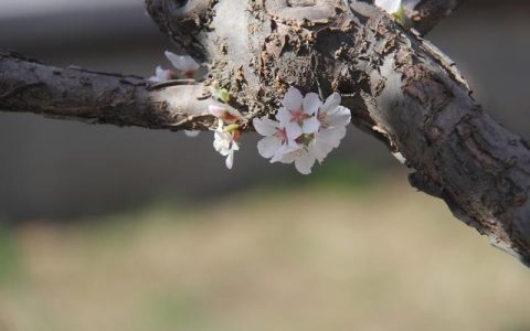 冬天的日子英文（冬天的日子长还是短）