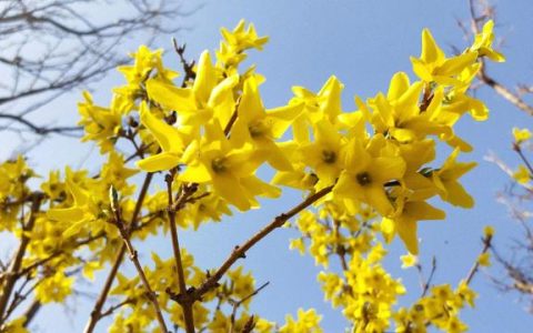 庆祝教师节的手抄报（教师节的手抄报怎么画_）