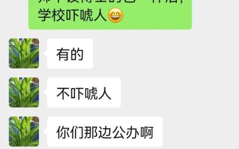 心急如火是形容什么，心急如火出自