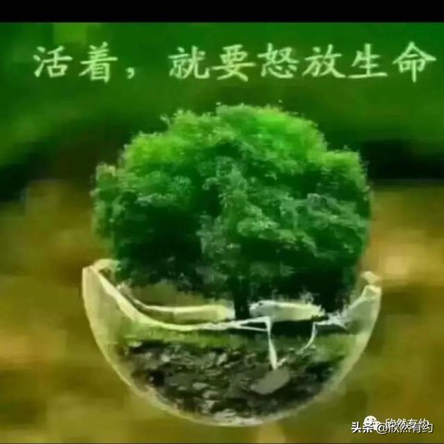 我的舅舅_文李荣彩