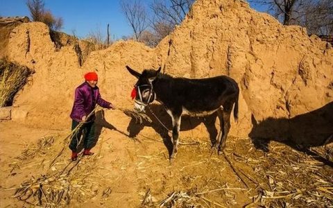 走在回家的路上造句，我回到家扩句