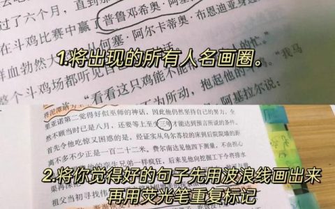 我终于懂了作文600字，我终于懂了作文600字初一