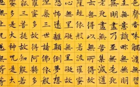 毛概读后感800字，毛概读后感800字手写