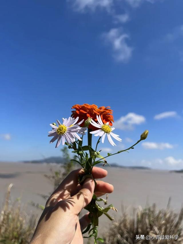 你的眼睛会唱歌,唱出我的不快乐，你的眼睛会唱歌,唱出我的不快乐是什么歌