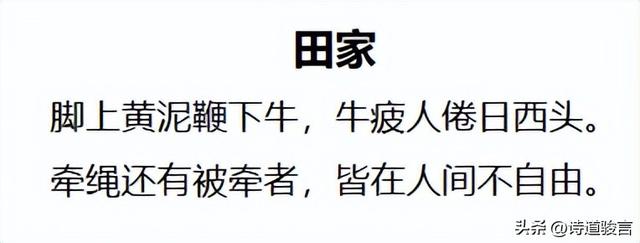 关于大自然的诗歌现代诗，关于大自然的诗歌现代诗_短