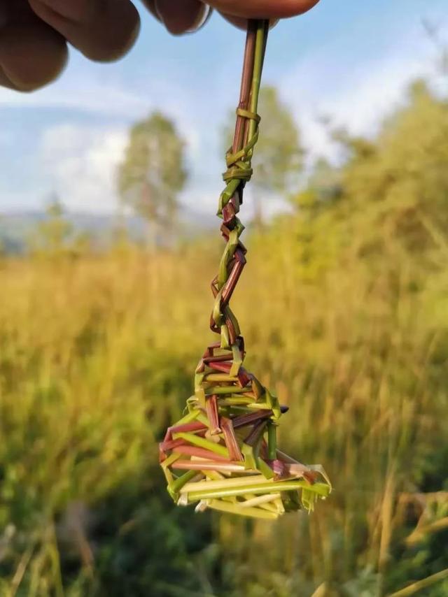 蝴蝶飞不过沧海,没有谁忍心责怪什么意思，蝴蝶飞不过沧海,没有谁忍心责怪_天下足球