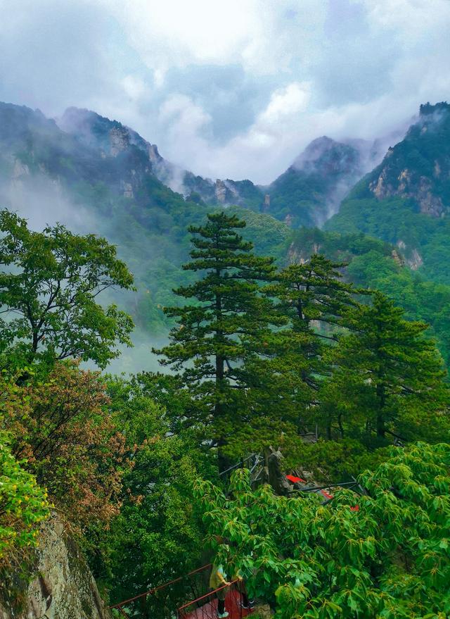 炙烤着大地，大地炙烤的景象？