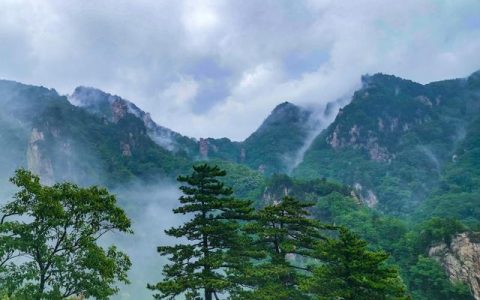 炙烤着大地，大地炙烤的景象？