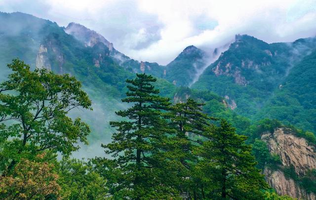 炙烤着大地，大地炙烤的景象？