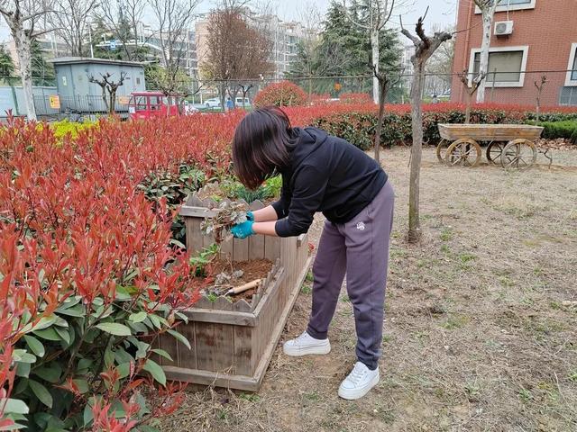 自己的花是给别人看的，花朵观赏与分享？